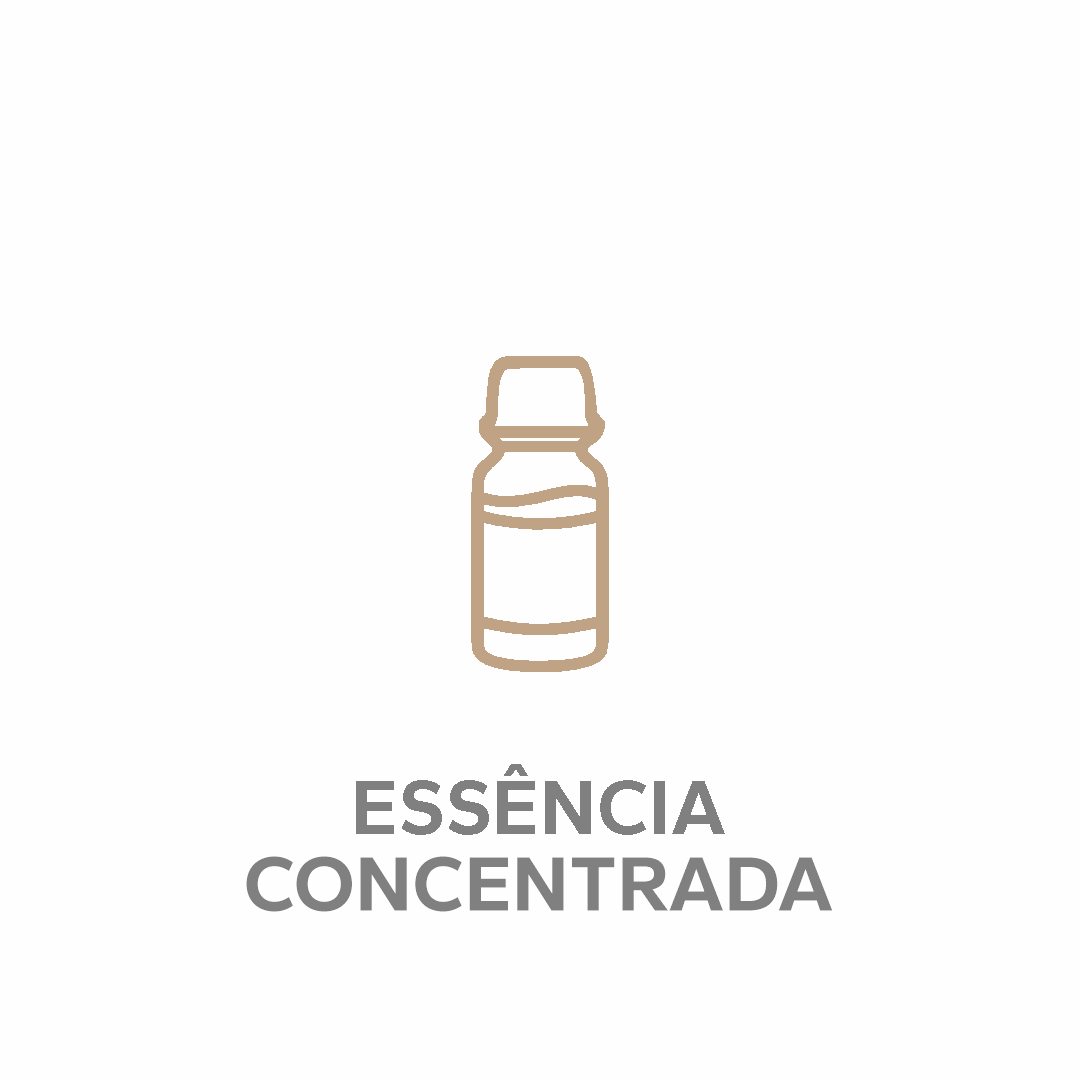 essencias categorias 1080x1080