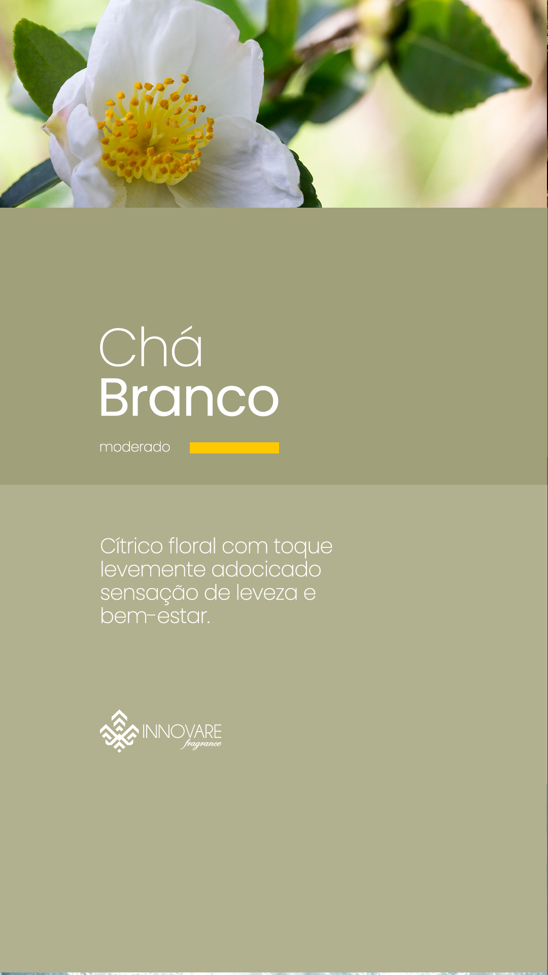 fragrancias cha branco