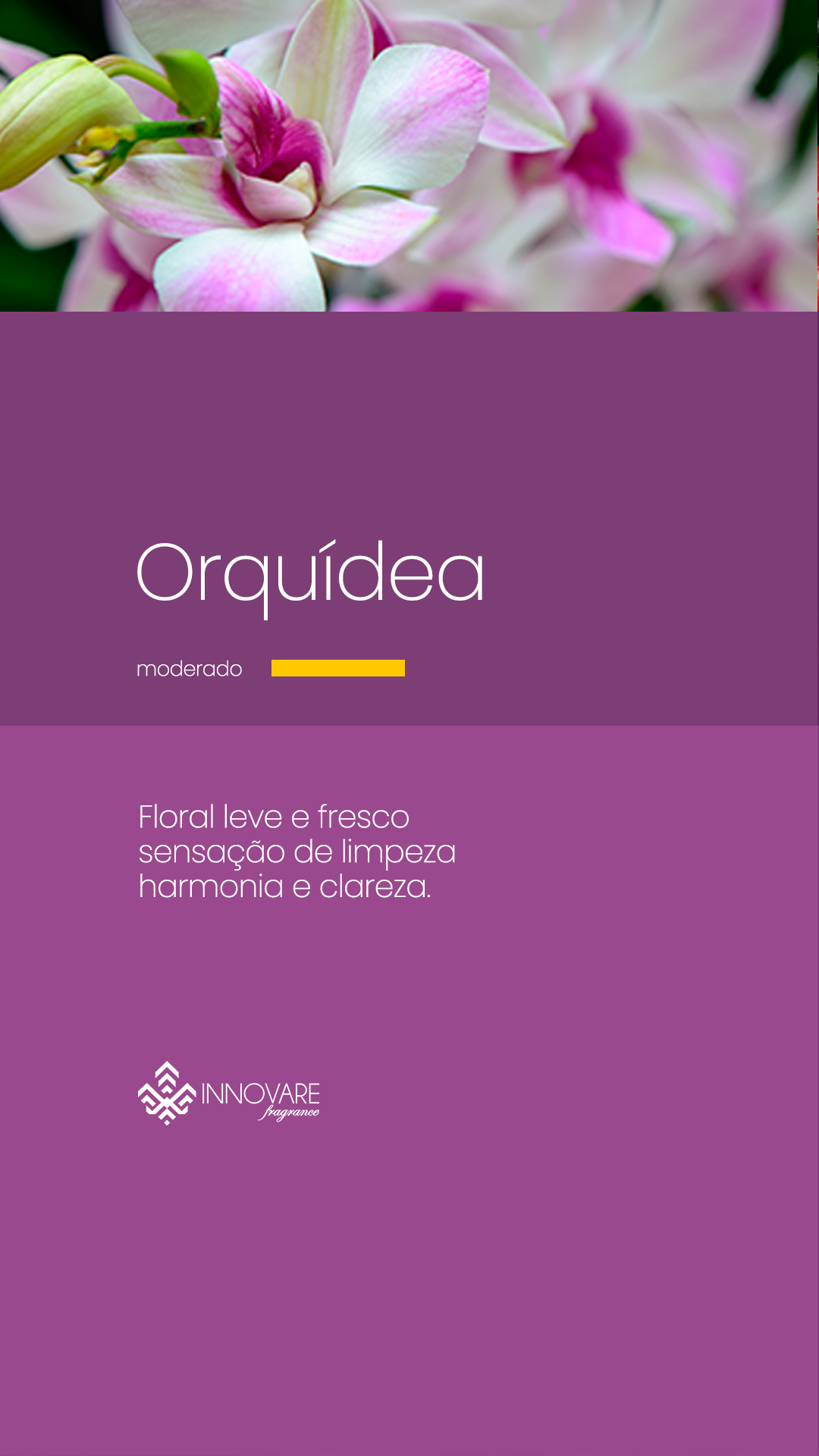 fragrancias orquidea