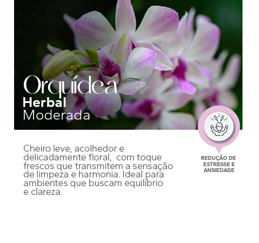 orquidea