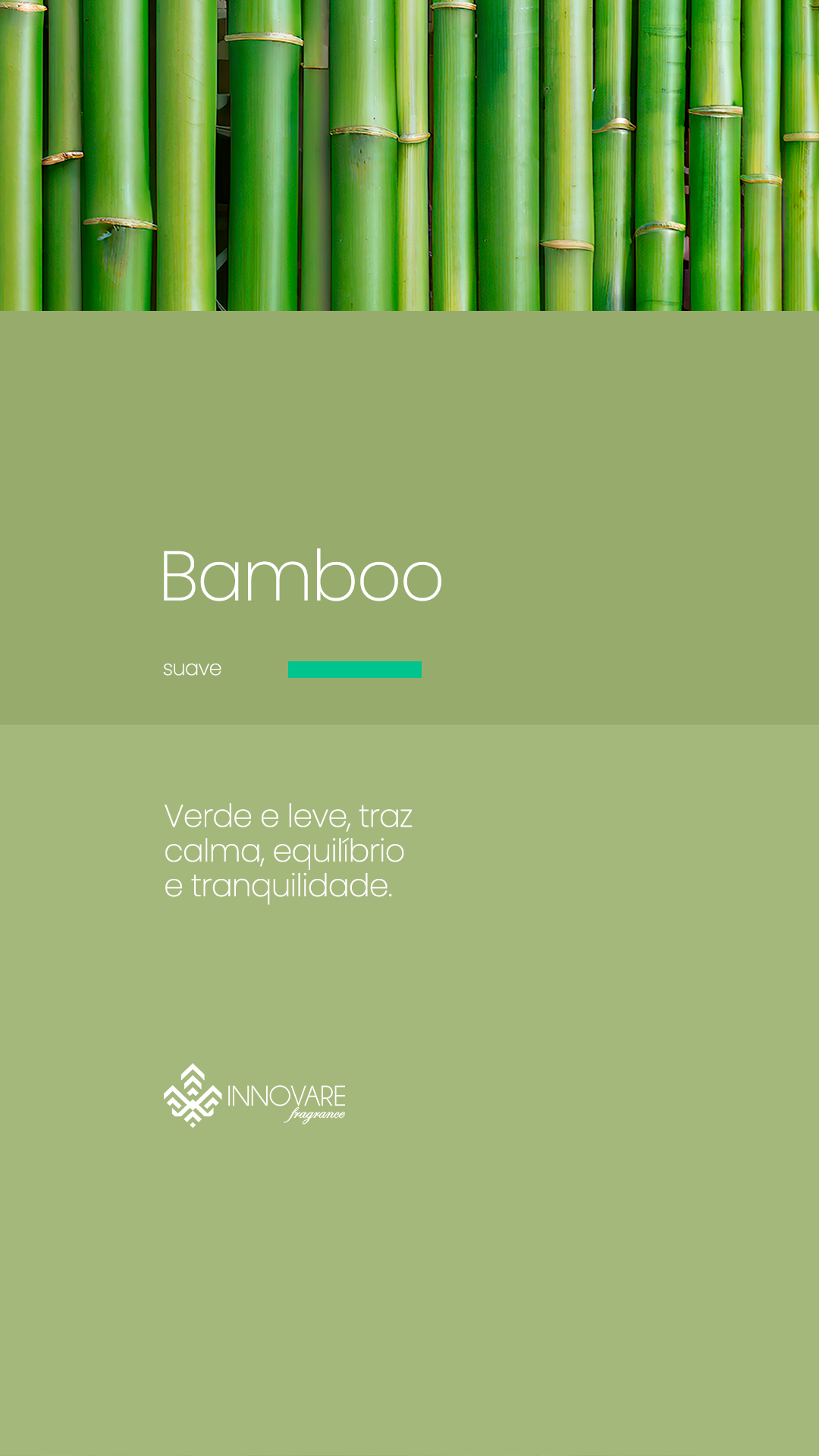 fragrancias bamboo