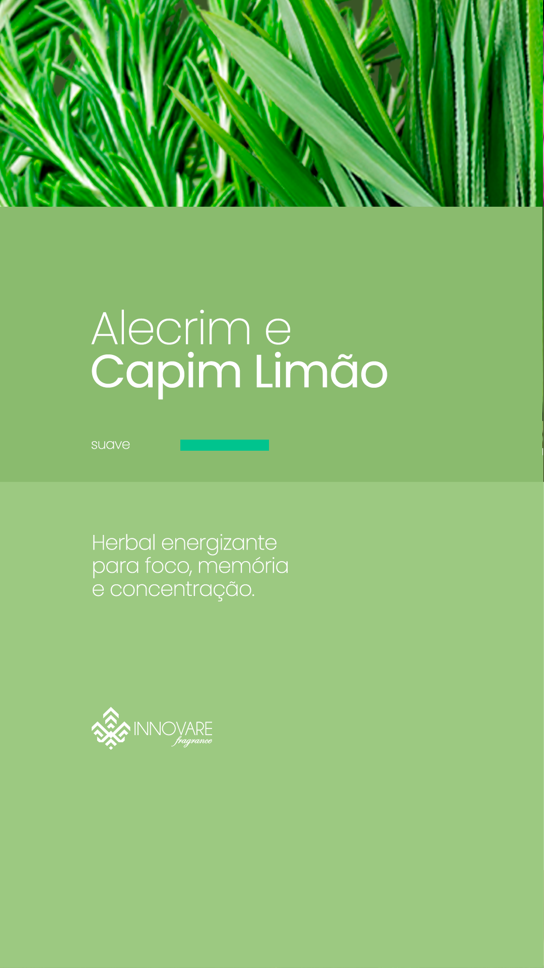 fragrancias alecrim e capim lima o 1