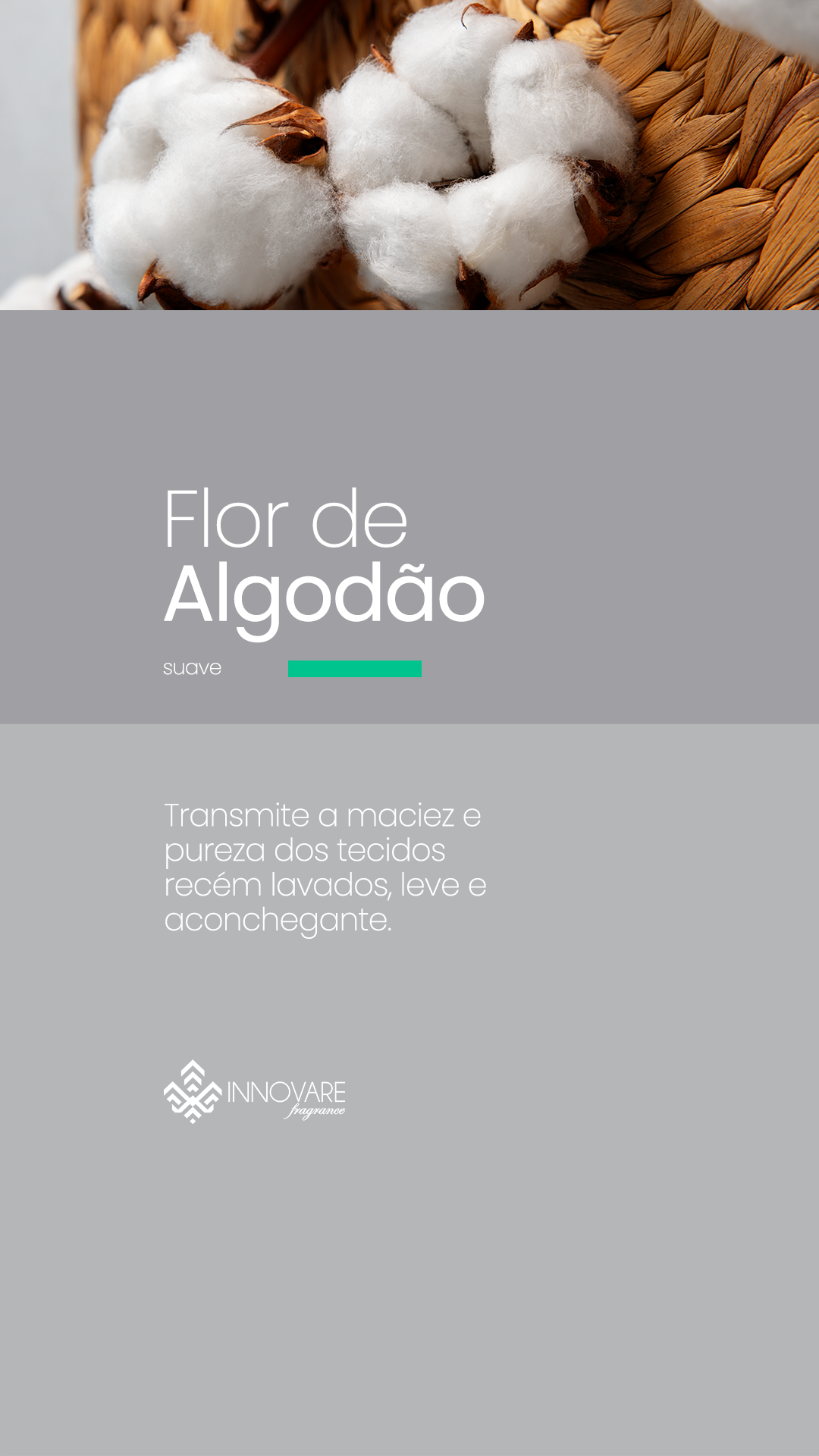 fragrancias flor de algoda o