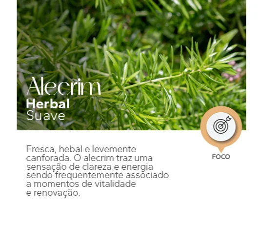 alecrim
